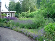 Bedrijf