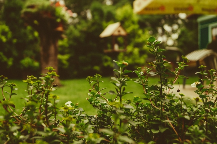 Tuinonderhoud